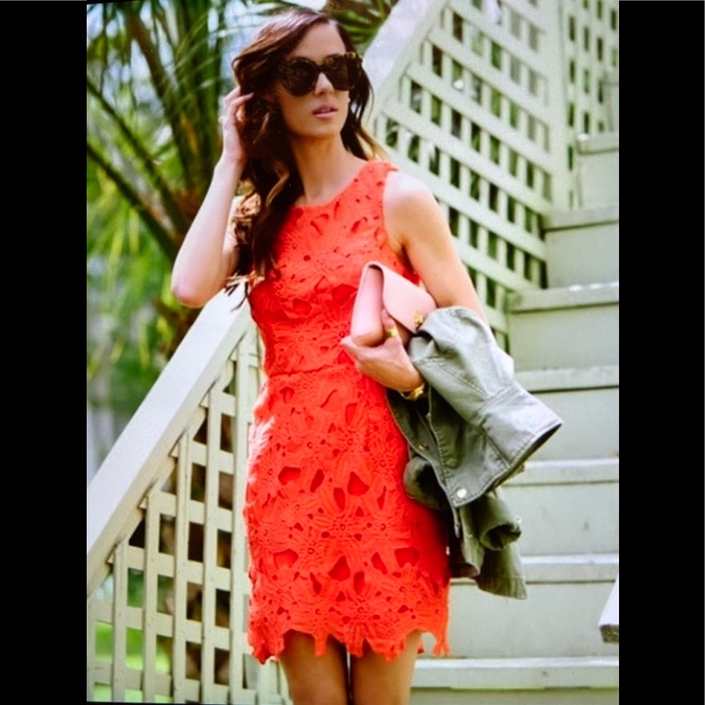 Beautiful Rich Coral Lace Mini by Astr The Label